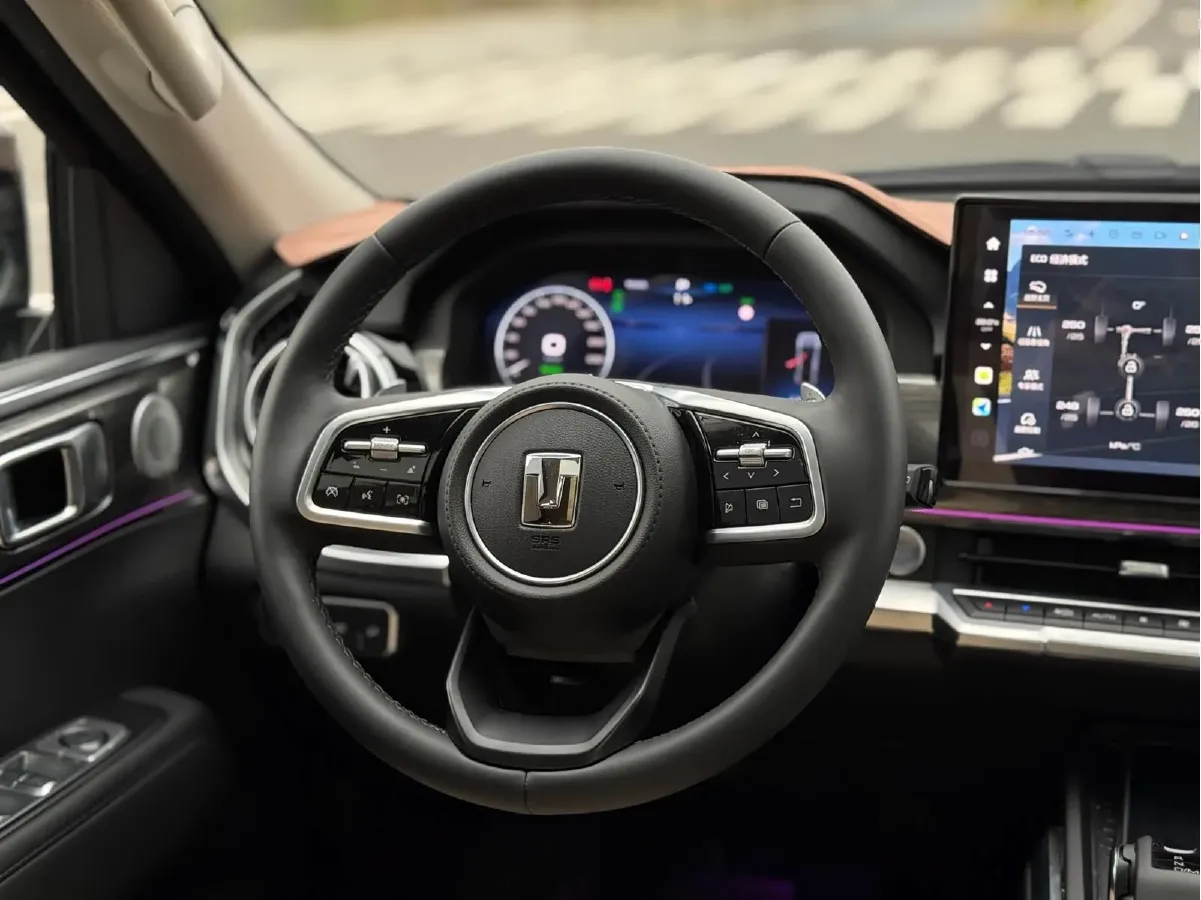 2024 Tank 400 2.0T 252HP L4 9AT PHEV 36.7/37.1KWH,autocango,china used car exporter,china ev exporter,chinese used car exporter,chinese used ev exporter