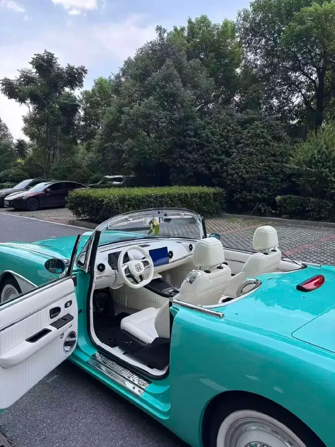 2021 SONGSAN MOTORS SS DOLPHIN 1.5T 160HP L4 6DCT PHEV 16KWH,autocango,china used car exporter,china ev exporter,chinese used car exporter,chinese used ev exporter