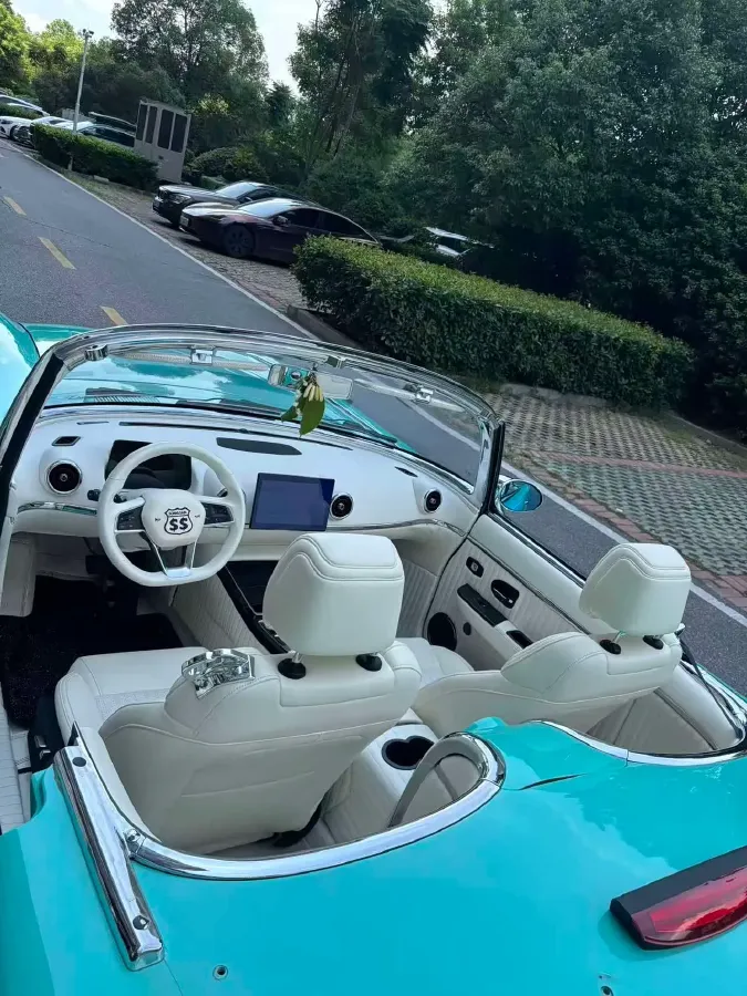 2021 SONGSAN MOTORS SS DOLPHIN 1.5T 160HP L4 6DCT PHEV 16KWH,autocango,china used car exporter,china ev exporter,chinese used car exporter,chinese used ev exporter