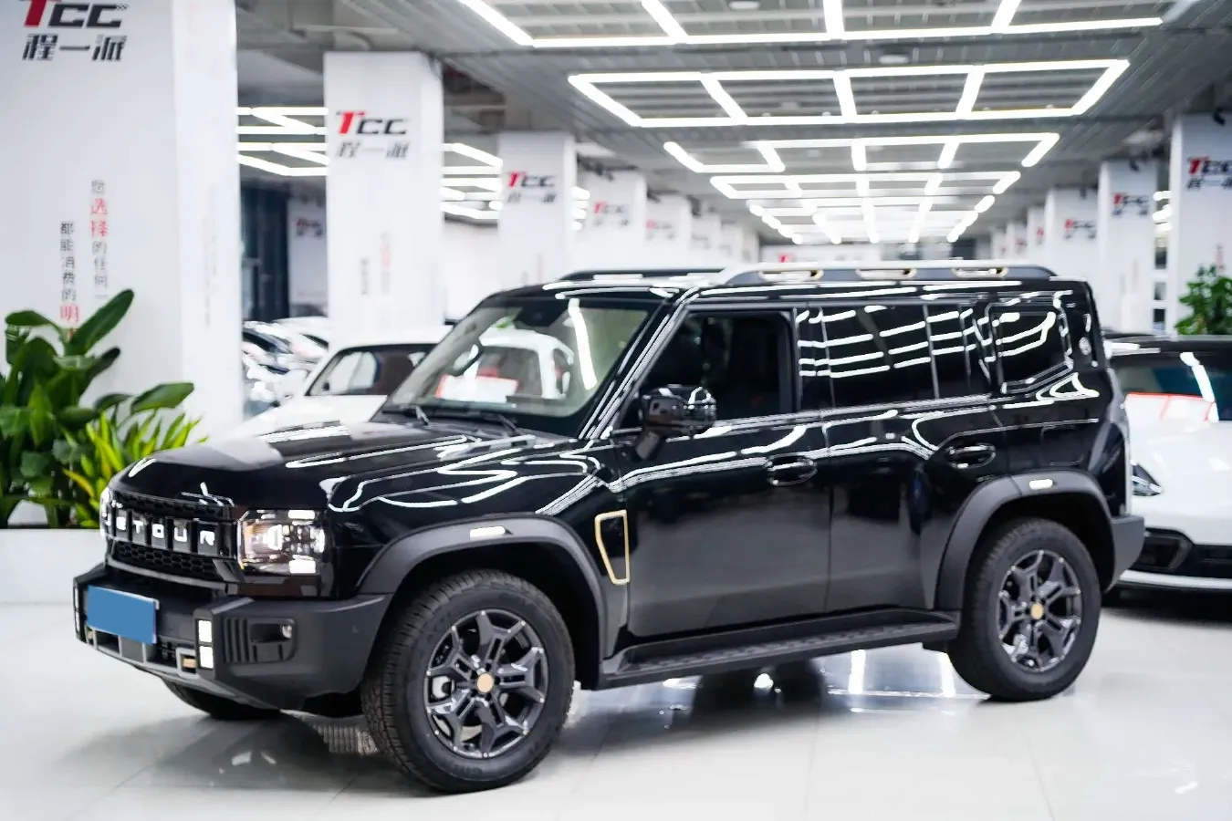 2025 Jetour Traveller 2.0T 254HP L4 7DCT,autocango,china used car exporter,china ev exporter,chinese used car exporter,chinese used ev exporter