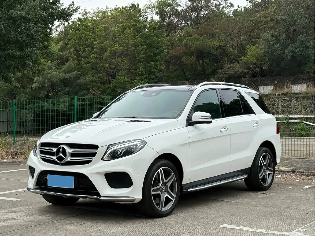 2019 Mercedes-Benz GLE Class 3.0T 333HP V6 9AT