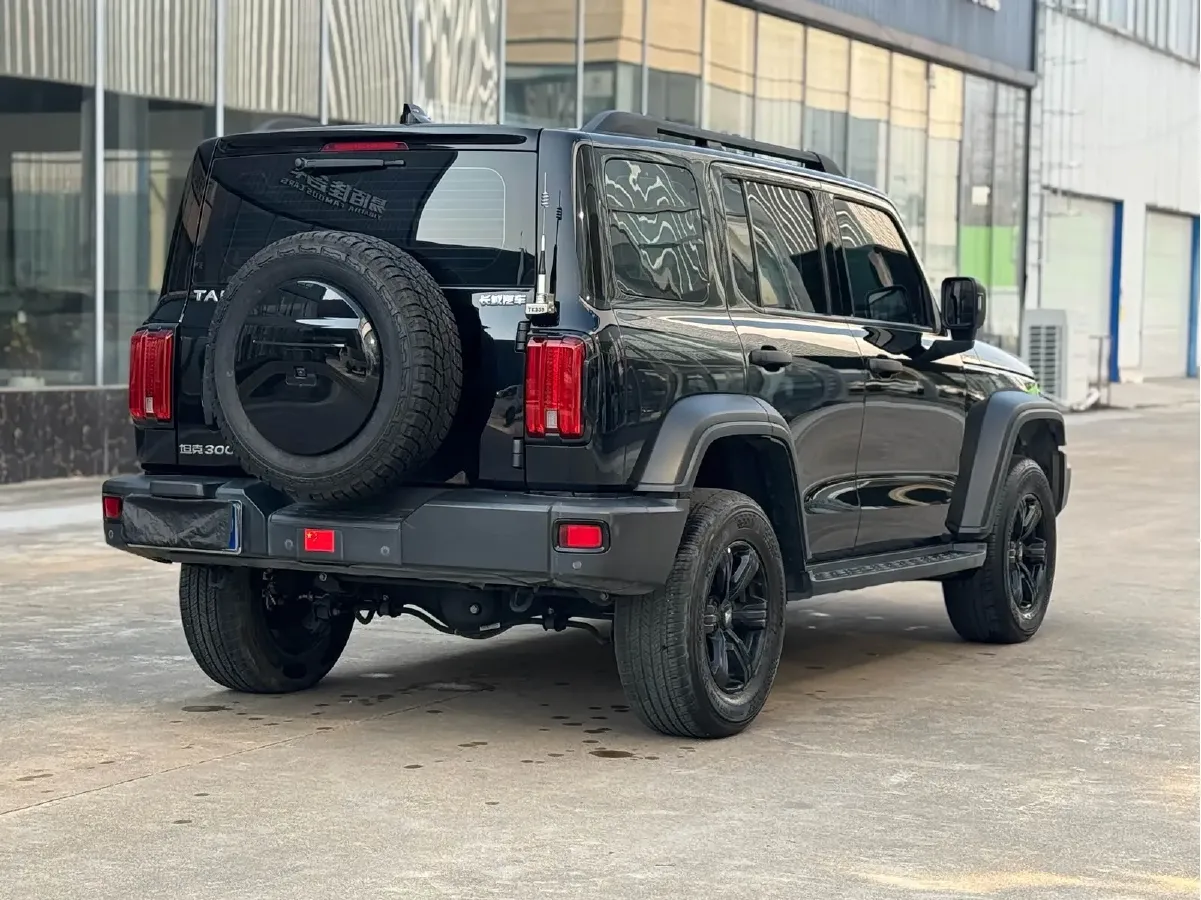 2021 Tank 300 2.0T 227HP L4 8AT,autocango,china used car exporter,china ev exporter,chinese used car exporter,chinese used ev exporter