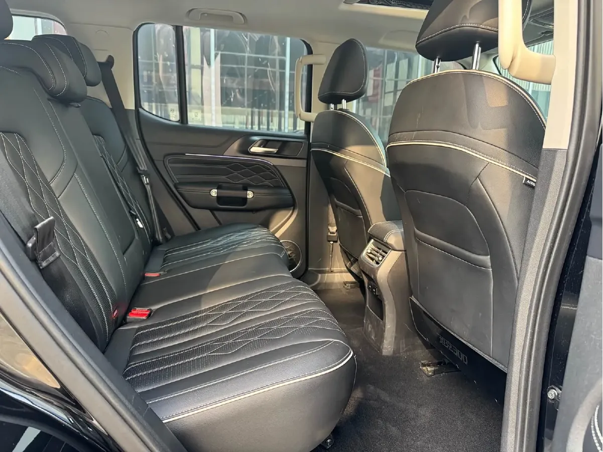 2021 Tank 300 2.0T 227HP L4 8AT,autocango,china used car exporter,china ev exporter,chinese used car exporter,chinese used ev exporter