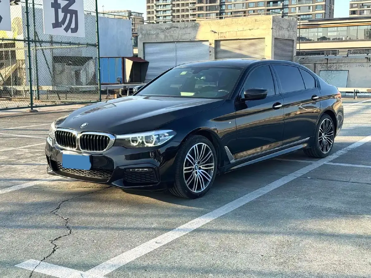 2019 BMW 5 Series 2.0T 252HP L4 8AT