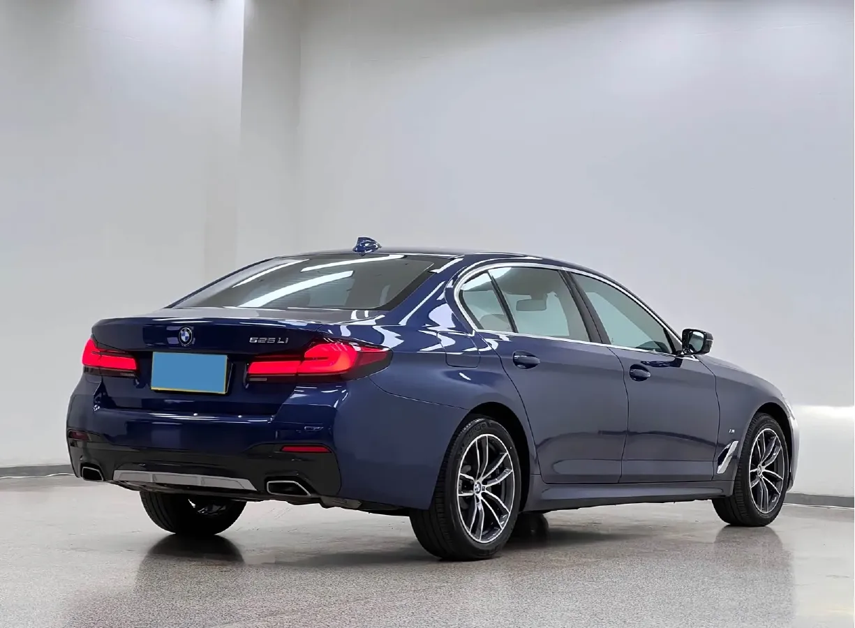 2021 BMW 5 Series 2.0T 184HP L4 8AT,autocango,china used car exporter,china ev exporter,chinese used car exporter,chinese used ev exporter