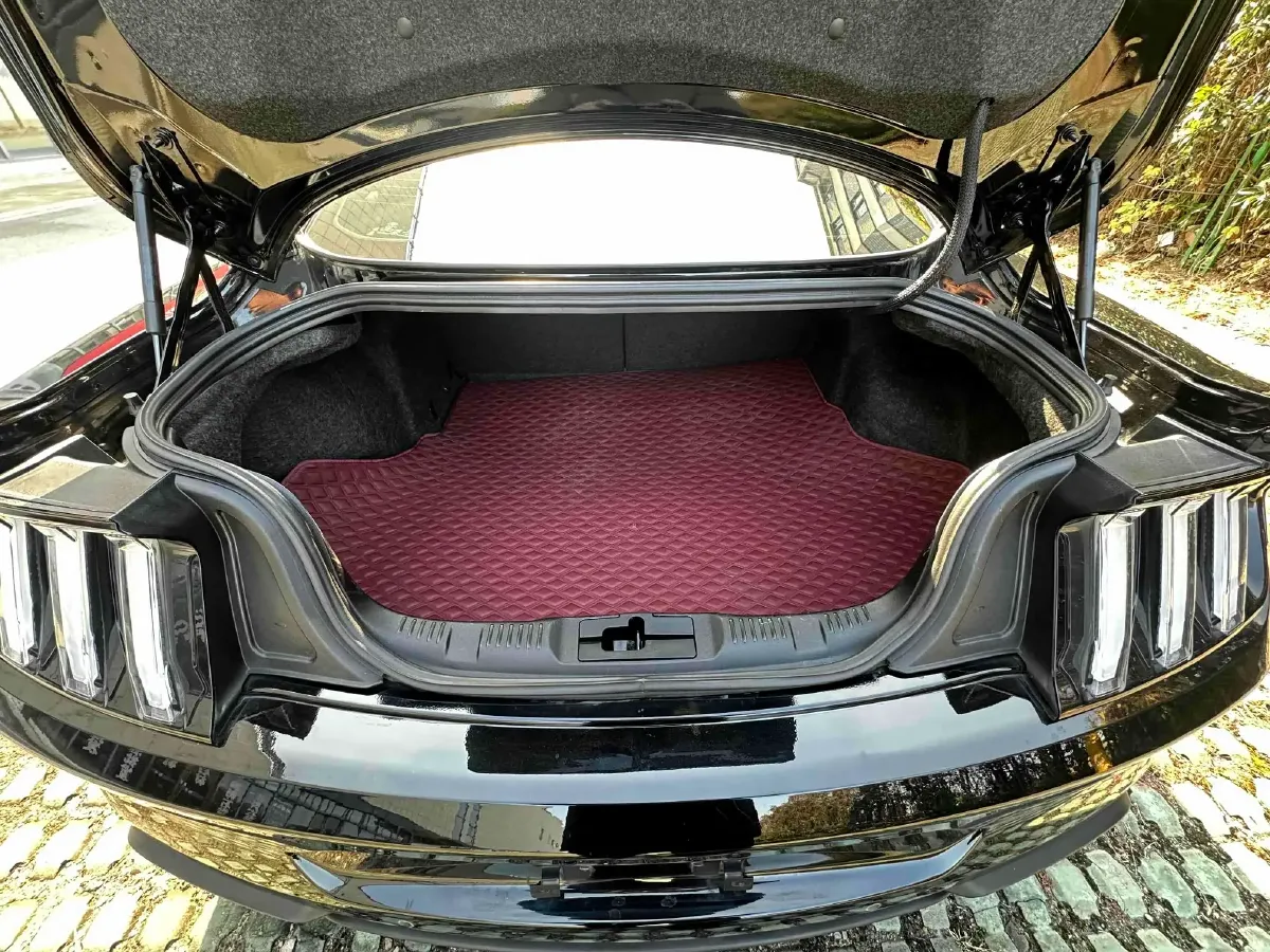 2021 Ford Mustang 2.3T 299HP L4 10AT,autocango,china used car exporter,china ev exporter,chinese used car exporter,chinese used ev exporter