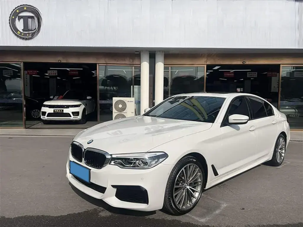 2020 BMW 5 Series 2.0T 252HP L4 8AT