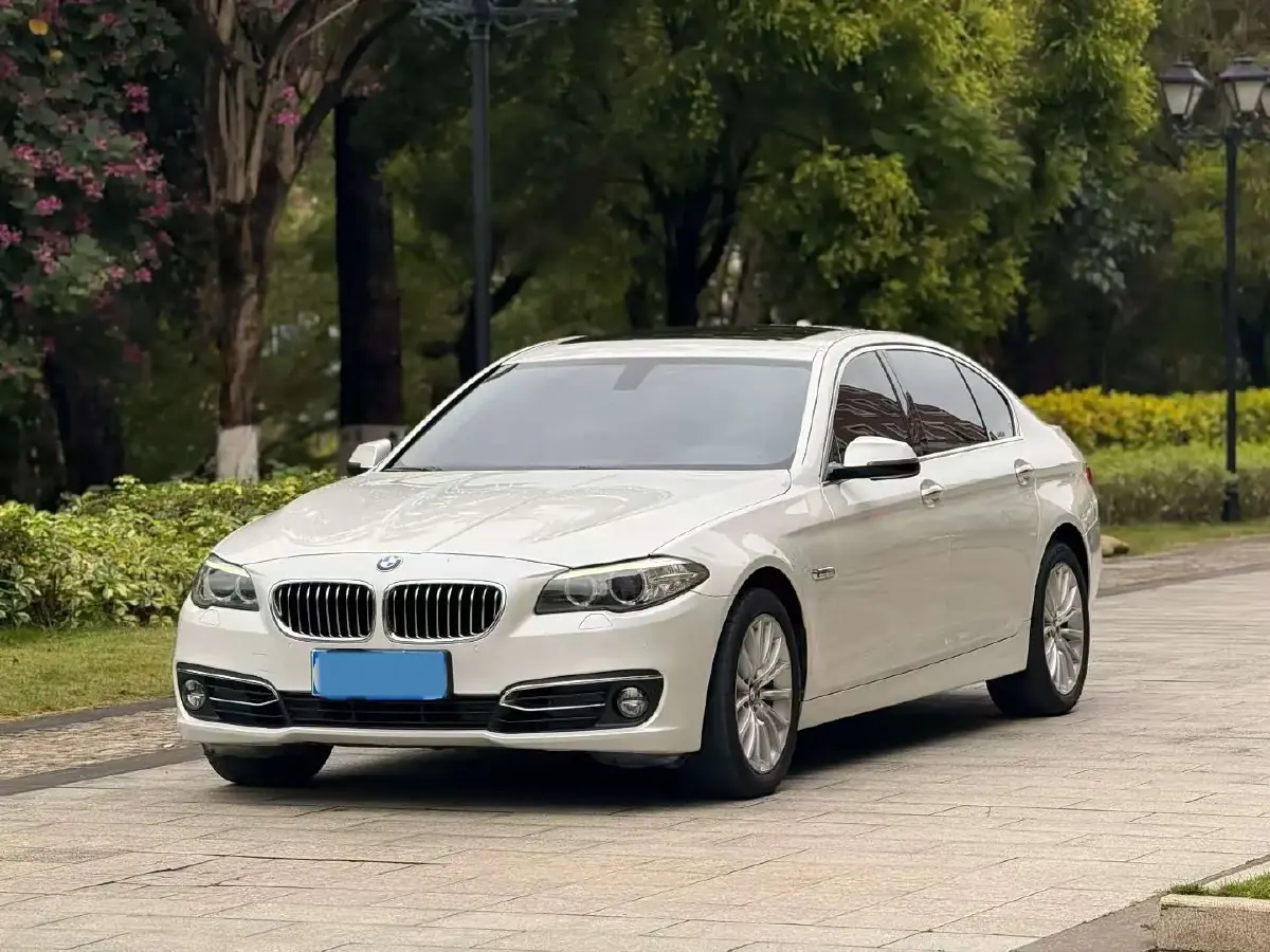 2014 BMW 5 Series 2.0T 218HP L4 8AT