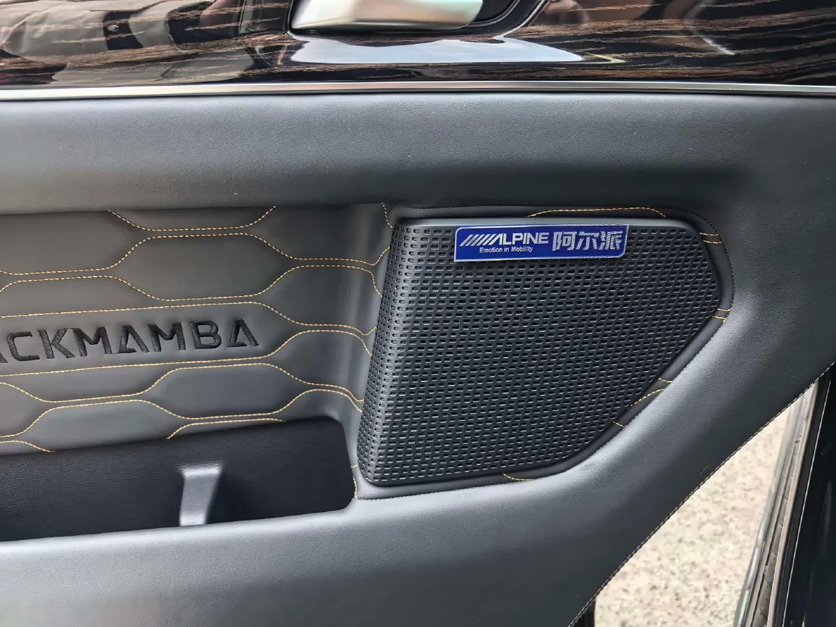 2024 Ford Tourneo 2.0T 220HP L4 9AT,autocango,china used car exporter,china ev exporter,chinese used car exporter,chinese used ev exporter