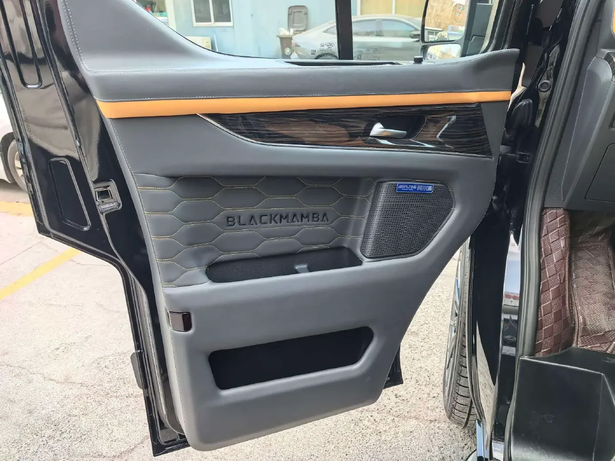 2024 Ford Tourneo 2.0T 220HP L4 9AT,autocango,china used car exporter,china ev exporter,chinese used car exporter,chinese used ev exporter