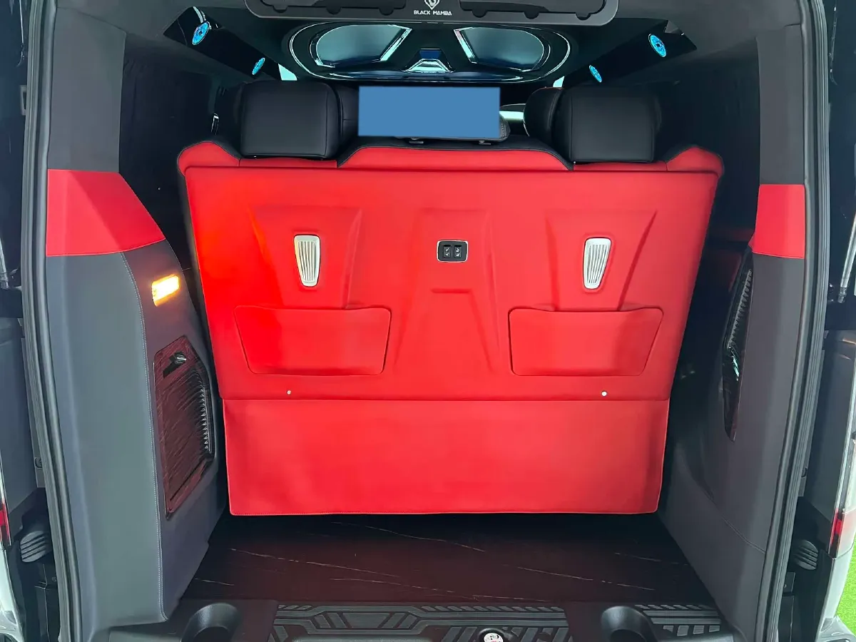 2024 Ford Tourneo 2.0T 220HP L4 9AT,autocango,china used car exporter,china ev exporter,chinese used car exporter,chinese used ev exporter