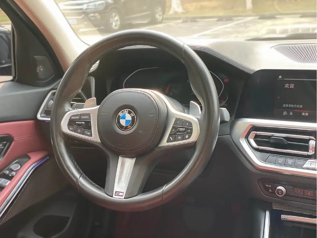 2021 BMW 3 Series 2.0T 184HP L4 8AT,autocango,china used car exporter,china ev exporter,chinese used car exporter,chinese used ev exporter