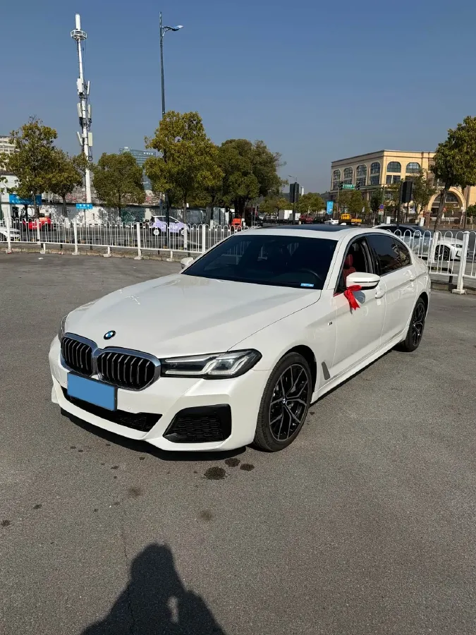 2021 BMW 5 Series 2.0T 252HP L4 8AT,autocango,china used car exporter,china ev exporter,chinese used car exporter,chinese used ev exporter