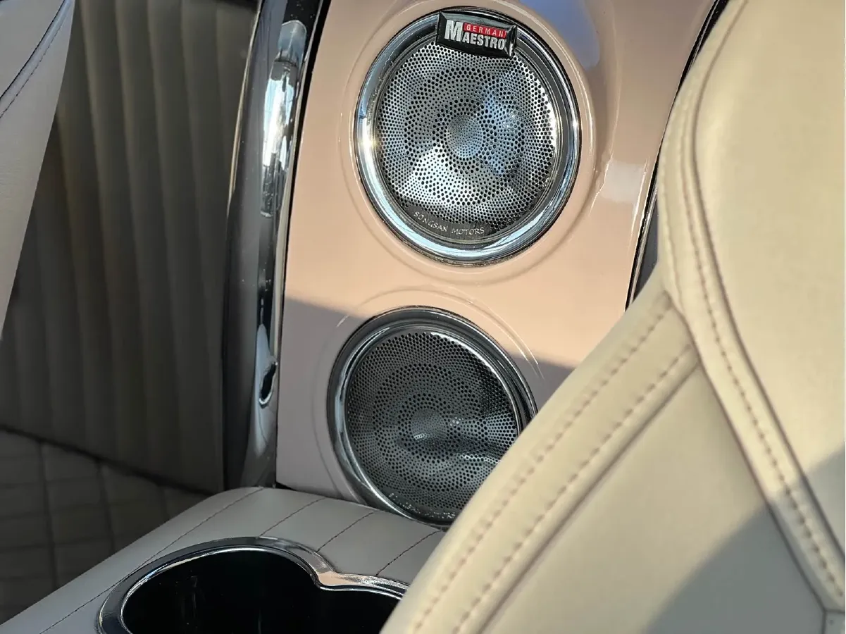 2021 SONGSAN MOTORS SS DOLPHIN 1.5T 160HP L4 6DCT PHEV 16KWH,autocango,china used car exporter,china ev exporter,chinese used car exporter,chinese used ev exporter