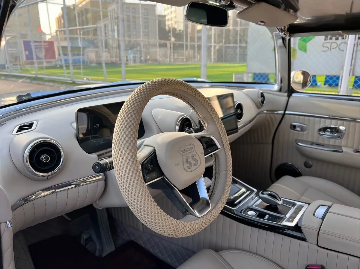 2021 SONGSAN MOTORS SS DOLPHIN 1.5T 160HP L4 6DCT PHEV 16KWH,autocango,china used car exporter,china ev exporter,chinese used car exporter,chinese used ev exporter