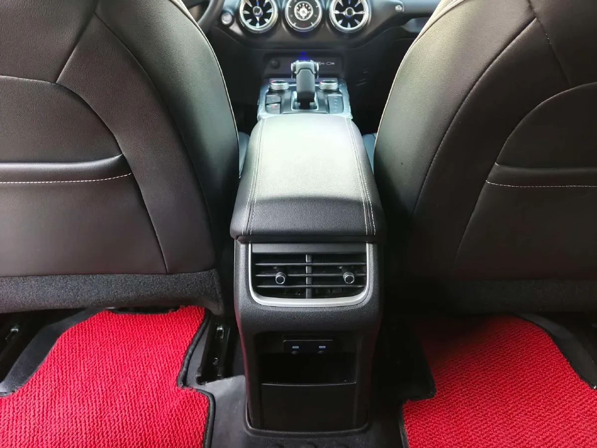 2021 Tank 300 2.0T 227HP L4 8AT,autocango,china used car exporter,china ev exporter,chinese used car exporter,chinese used ev exporter