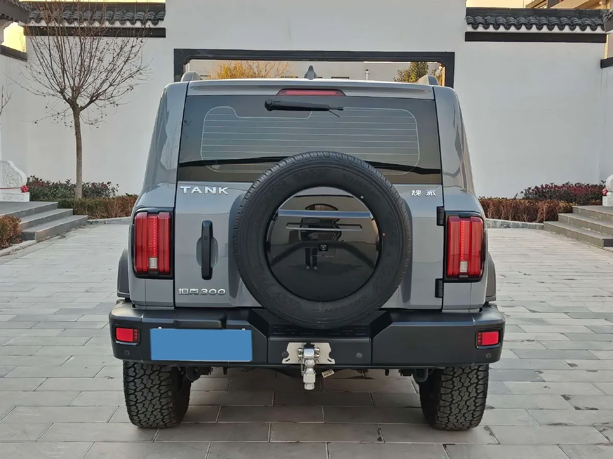 2021 Tank 300 2.0T 227HP L4 8AT,autocango,china used car exporter,china ev exporter,chinese used car exporter,chinese used ev exporter
