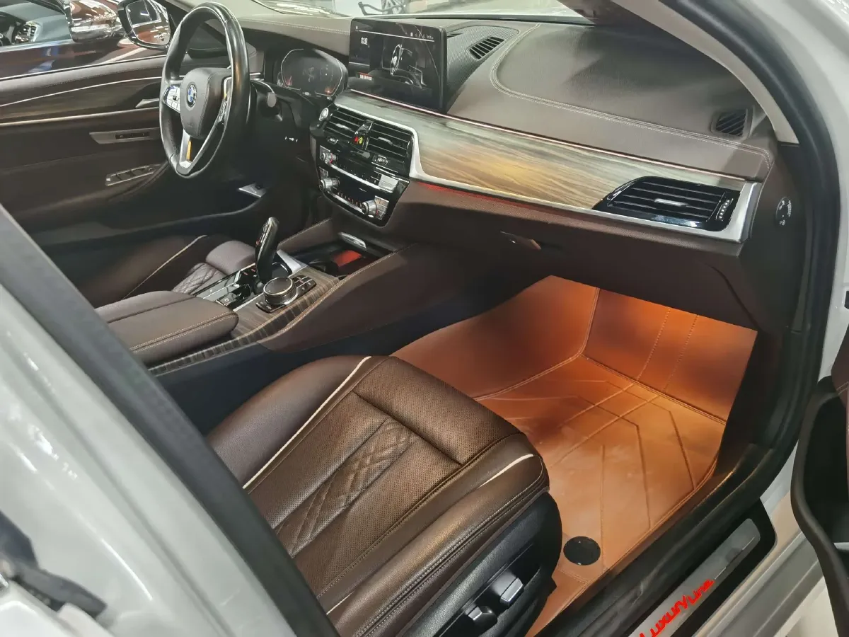 2023 BMW 5 Series 2.0T 245HP L4 8AT,autocango,china used car exporter,china ev exporter,chinese used car exporter,chinese used ev exporter