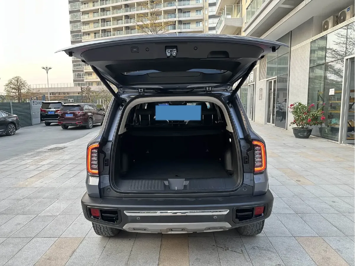 2021 Haval Dargo 2.0T 211HP L4 7DCT,autocango,china used car exporter,china ev exporter,chinese used car exporter,chinese used ev exporter