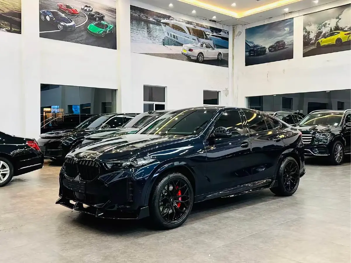 2023 BMW X6 2.0T 258HP L4 8AT