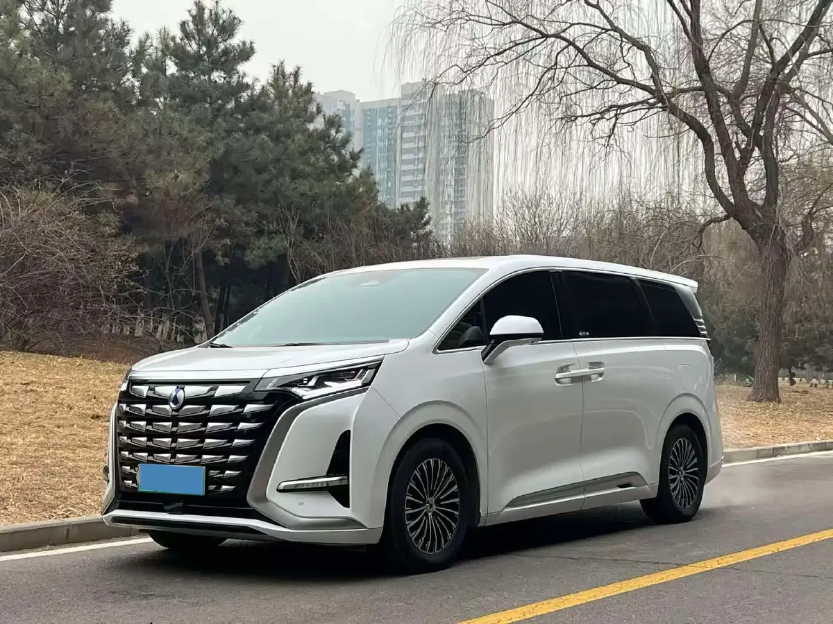 2022 Denza D9 1.5T 139HP L4 E-CVT PHEV 40.06KWH