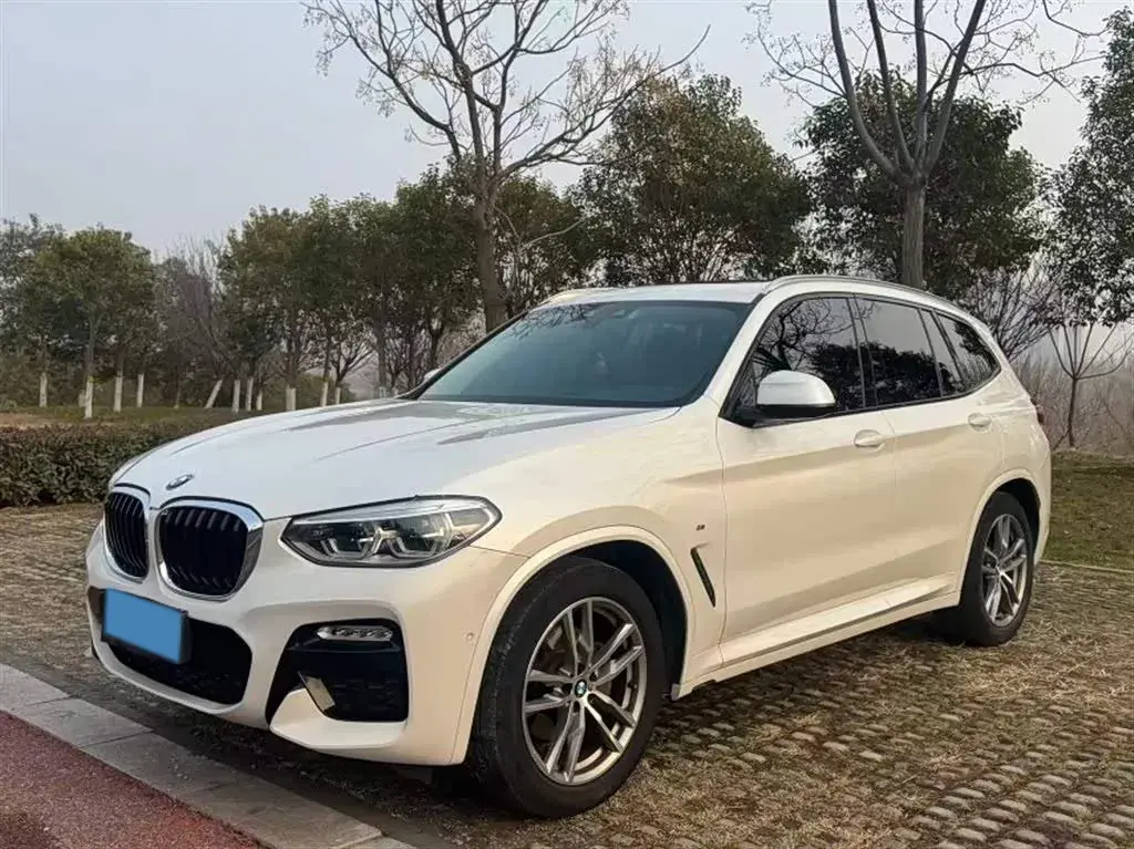 2018 BMW X3 2.0T 224HP L4 8AT