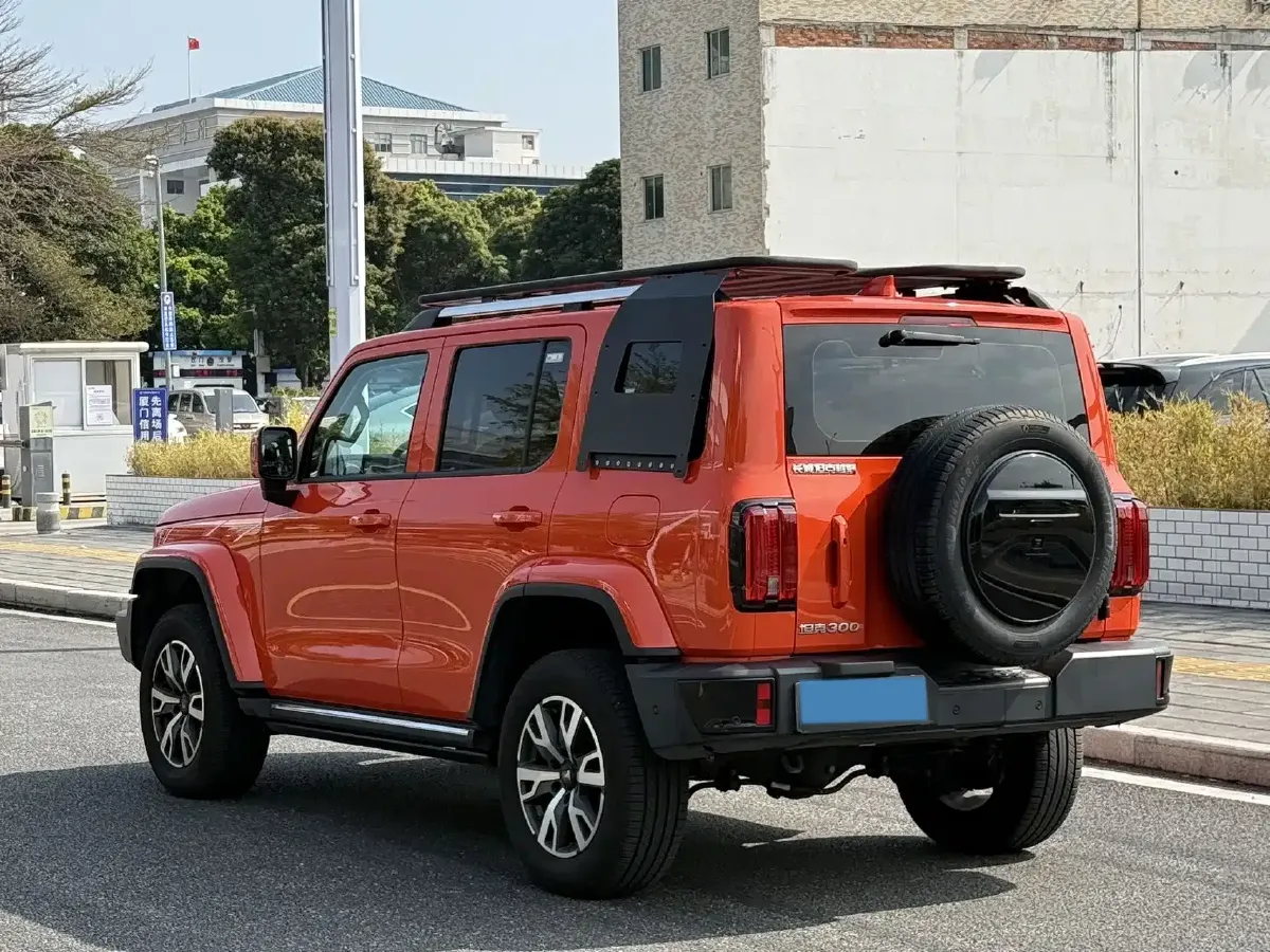 2024 Tank 300 2.0T 252HP L4 9AT,autocango,china used car exporter,china ev exporter,chinese used car exporter,chinese used ev exporter