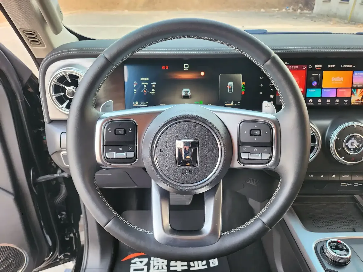 2024 Tank 300 2.0T 252HP L4 9AT,autocango,china used car exporter,china ev exporter,chinese used car exporter,chinese used ev exporter