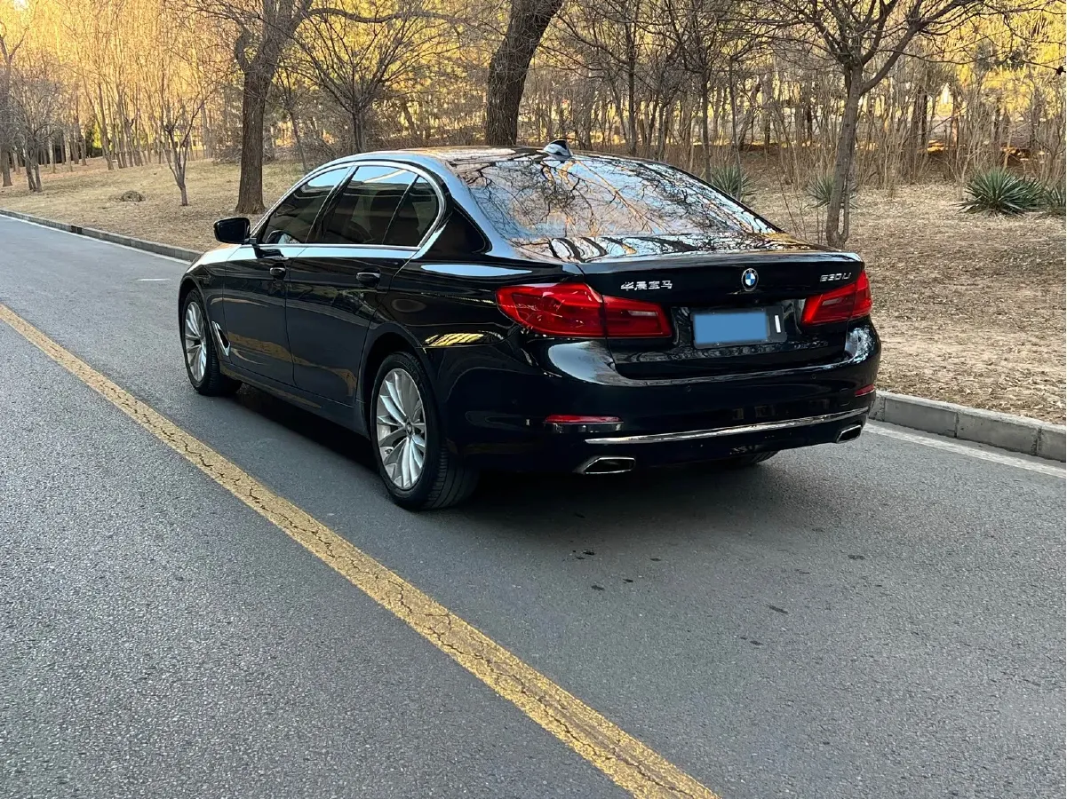 2019 BMW 5 Series 2.0T 252HP L4 8AT,autocango,china used car exporter,china ev exporter,chinese used car exporter,chinese used ev exporter