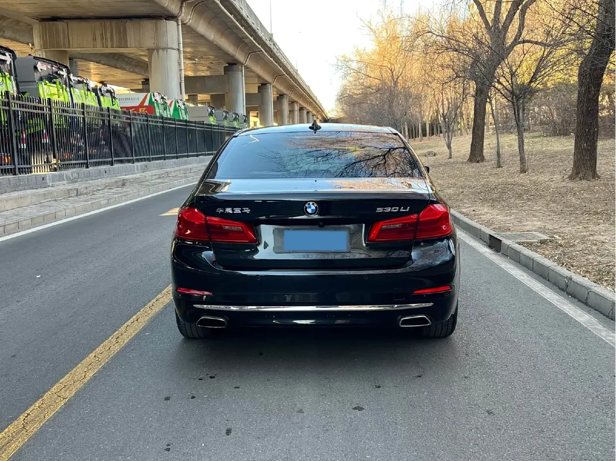 2019 BMW 5 Series 2.0T 252HP L4 8AT,autocango,china used car exporter,china ev exporter,chinese used car exporter,chinese used ev exporter