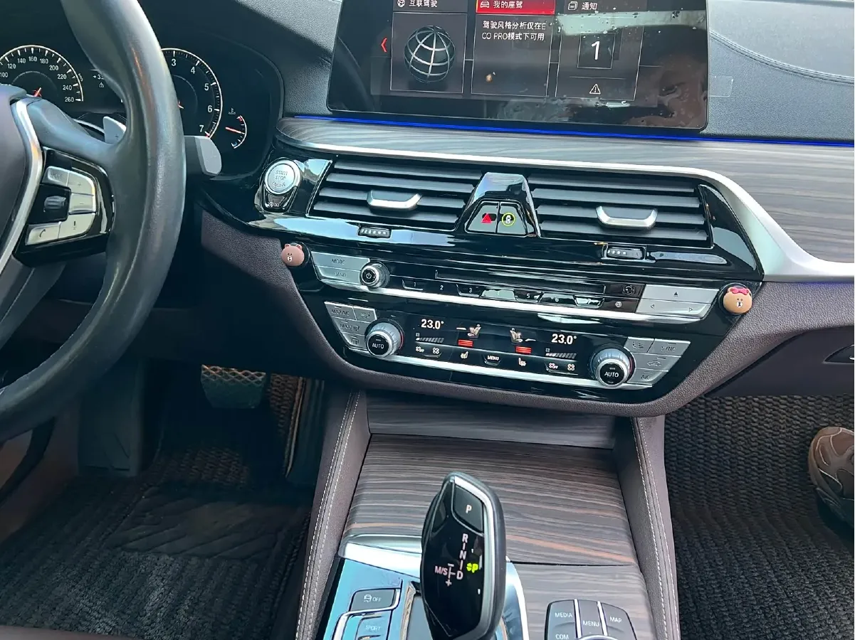 2019 BMW 5 Series 2.0T 252HP L4 8AT,autocango,china used car exporter,china ev exporter,chinese used car exporter,chinese used ev exporter