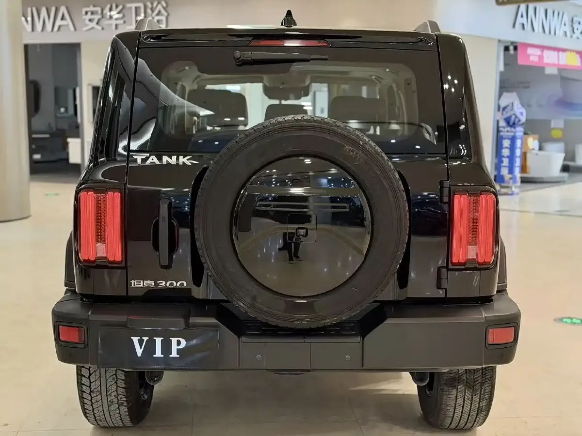 2023 Tank 300 2.0T 227HP L4 8AT,autocango,china used car exporter,china ev exporter,chinese used car exporter,chinese used ev exporter