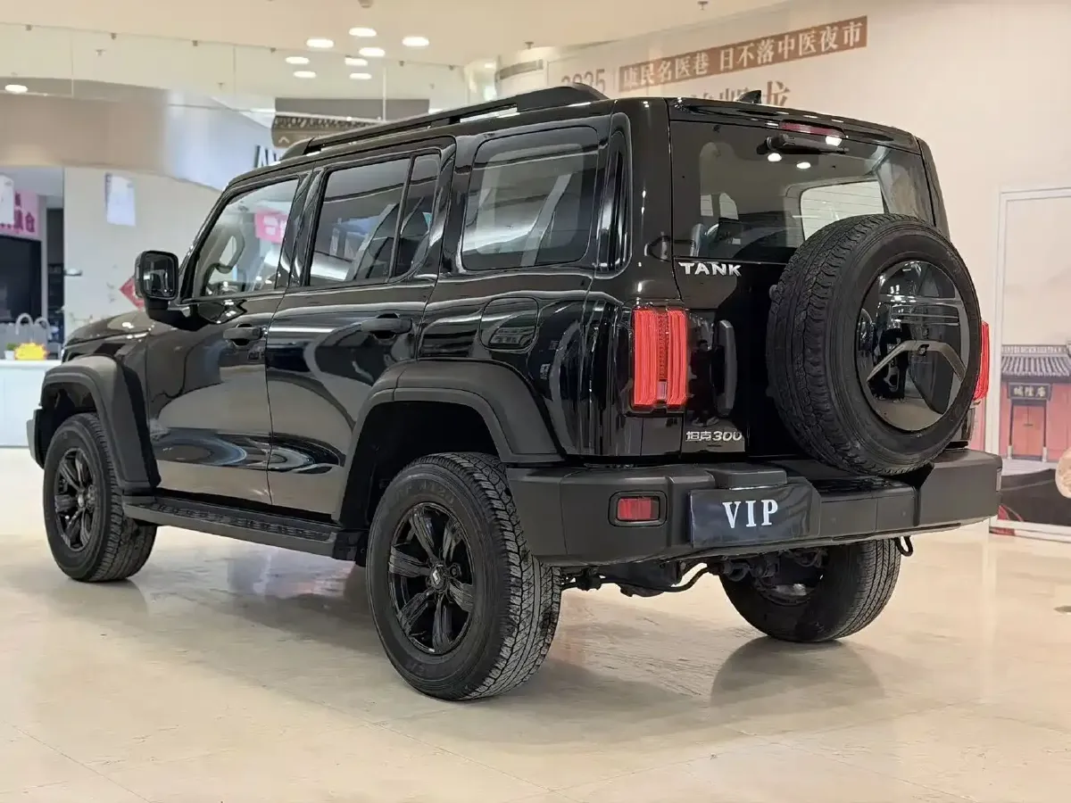 2023 Tank 300 2.0T 227HP L4 8AT,autocango,china used car exporter,china ev exporter,chinese used car exporter,chinese used ev exporter