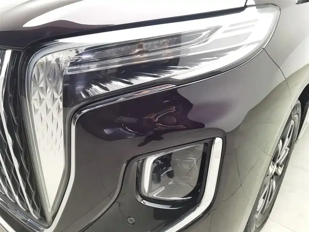 2023 HongQi HQ9 2.0T 252HP L4 8AT,autocango,china used car exporter,china ev exporter,chinese used car exporter,chinese used ev exporter