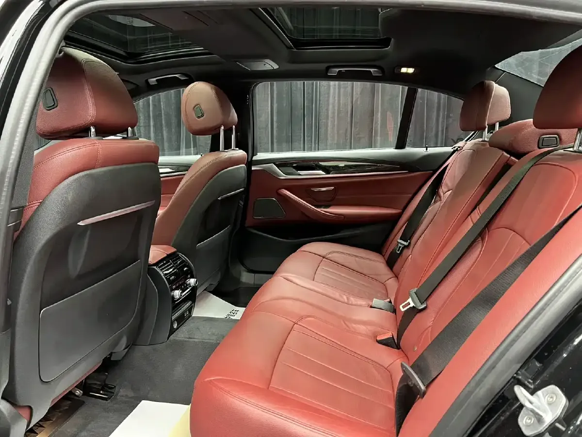 2020 BMW 5 Series 2.0T 252HP L4 8AT,autocango,china used car exporter,china ev exporter,chinese used car exporter,chinese used ev exporter