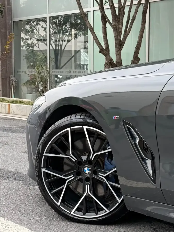 2019 BMW 8 Series 3.0T 340HP L6 8AT,autocango,china used car exporter,china ev exporter,chinese used car exporter,chinese used ev exporter