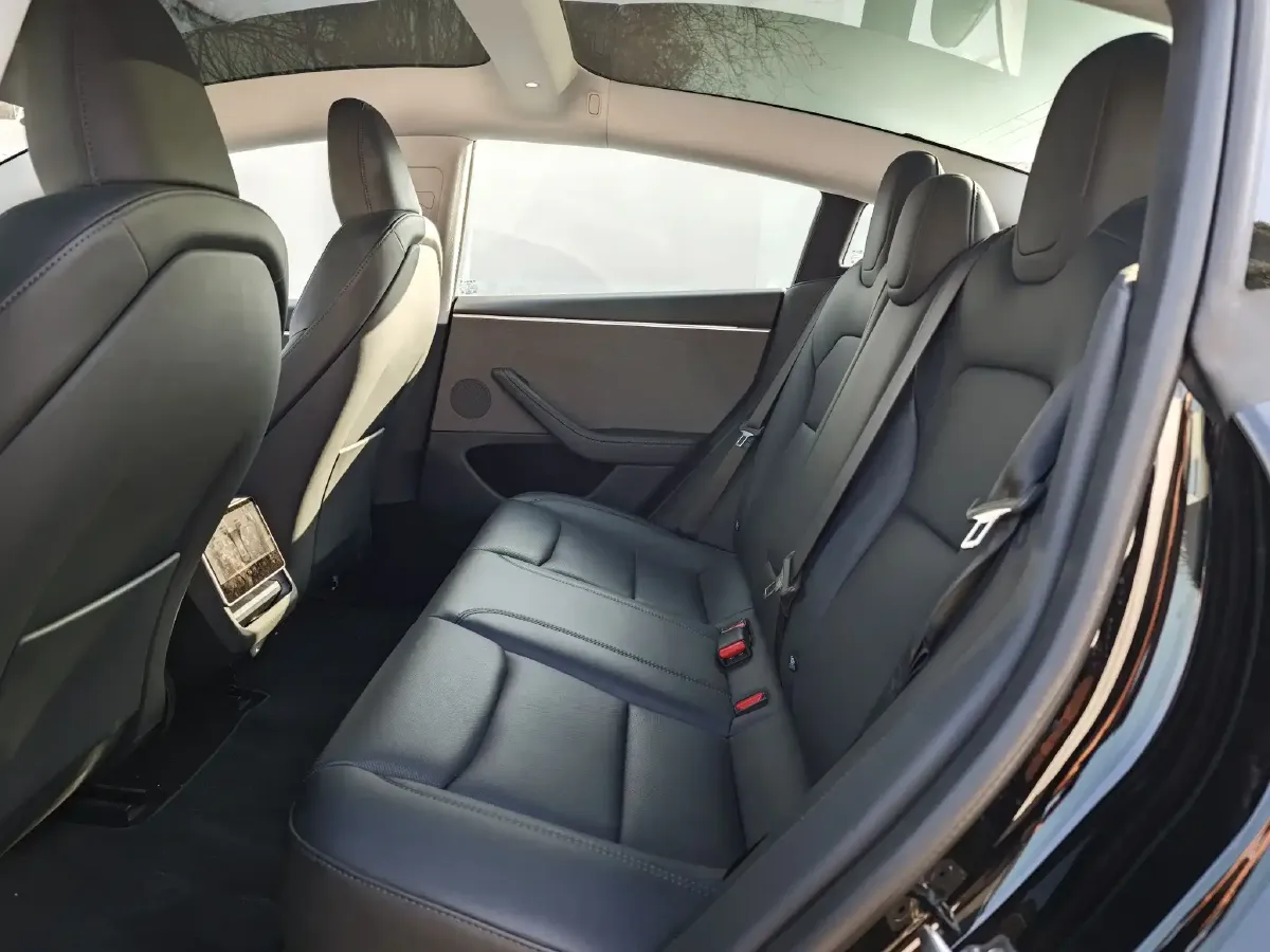 2023 Tesla Model 3 BEV 60KWH,autocango,china used car exporter,china ev exporter,chinese used car exporter,chinese used ev exporter