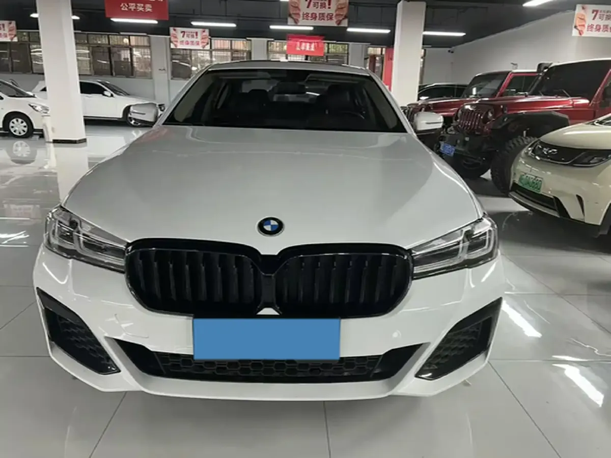 2020 BMW 5 Series 2.0T 184HP L4 8AT,autocango,china used car exporter,china ev exporter,chinese used car exporter,chinese used ev exporter
