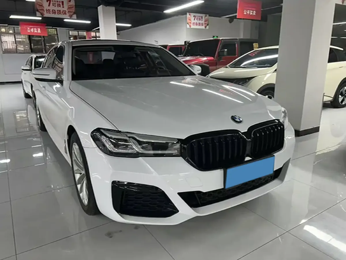 2020 BMW 5 Series 2.0T 184HP L4 8AT,autocango,china used car exporter,china ev exporter,chinese used car exporter,chinese used ev exporter