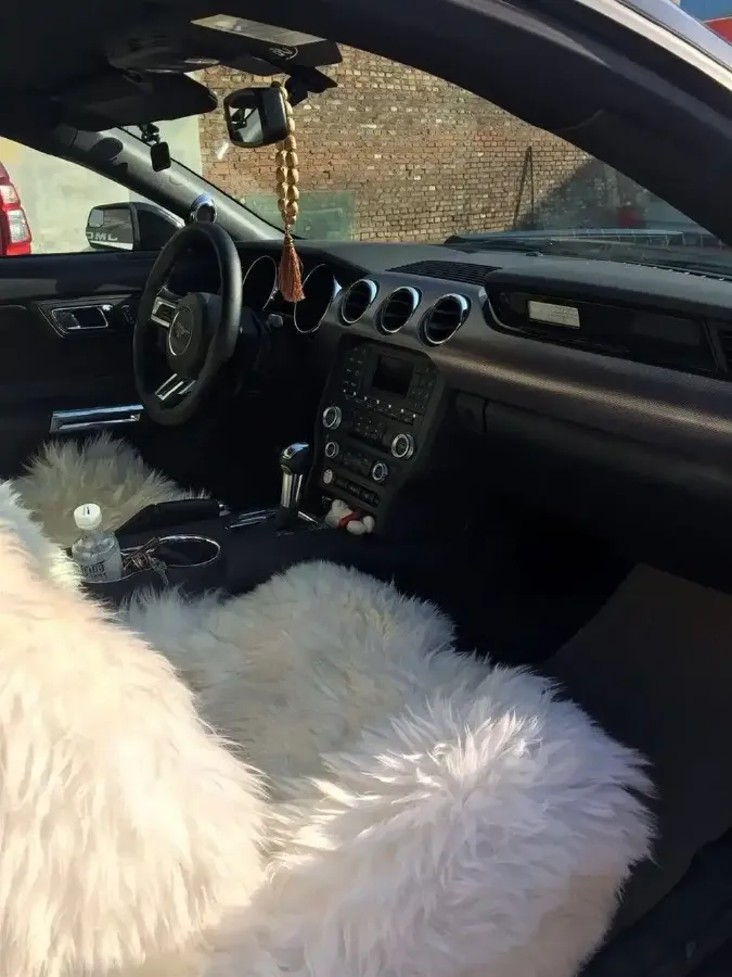 2017 Ford Mustang 2.3T 314HP L4 6AT,autocango,china used car exporter,china ev exporter,chinese used car exporter,chinese used ev exporter