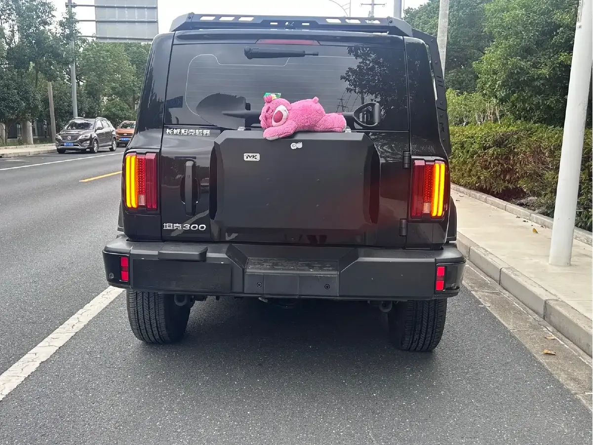 2024 Tank 300 2.0T 227HP L4 8AT,autocango,china used car exporter,china ev exporter,chinese used car exporter,chinese used ev exporter