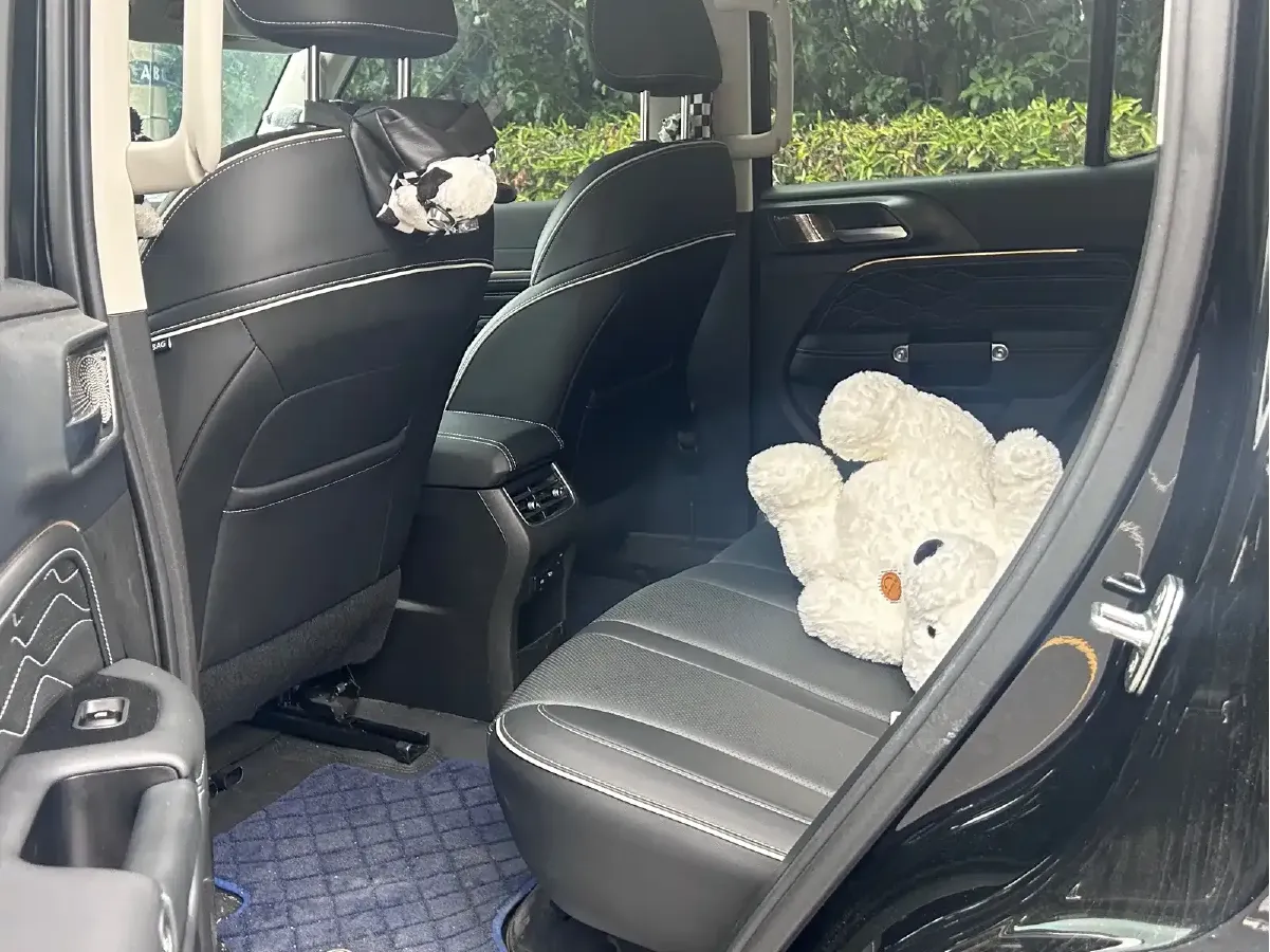 2024 Tank 300 2.0T 227HP L4 8AT,autocango,china used car exporter,china ev exporter,chinese used car exporter,chinese used ev exporter