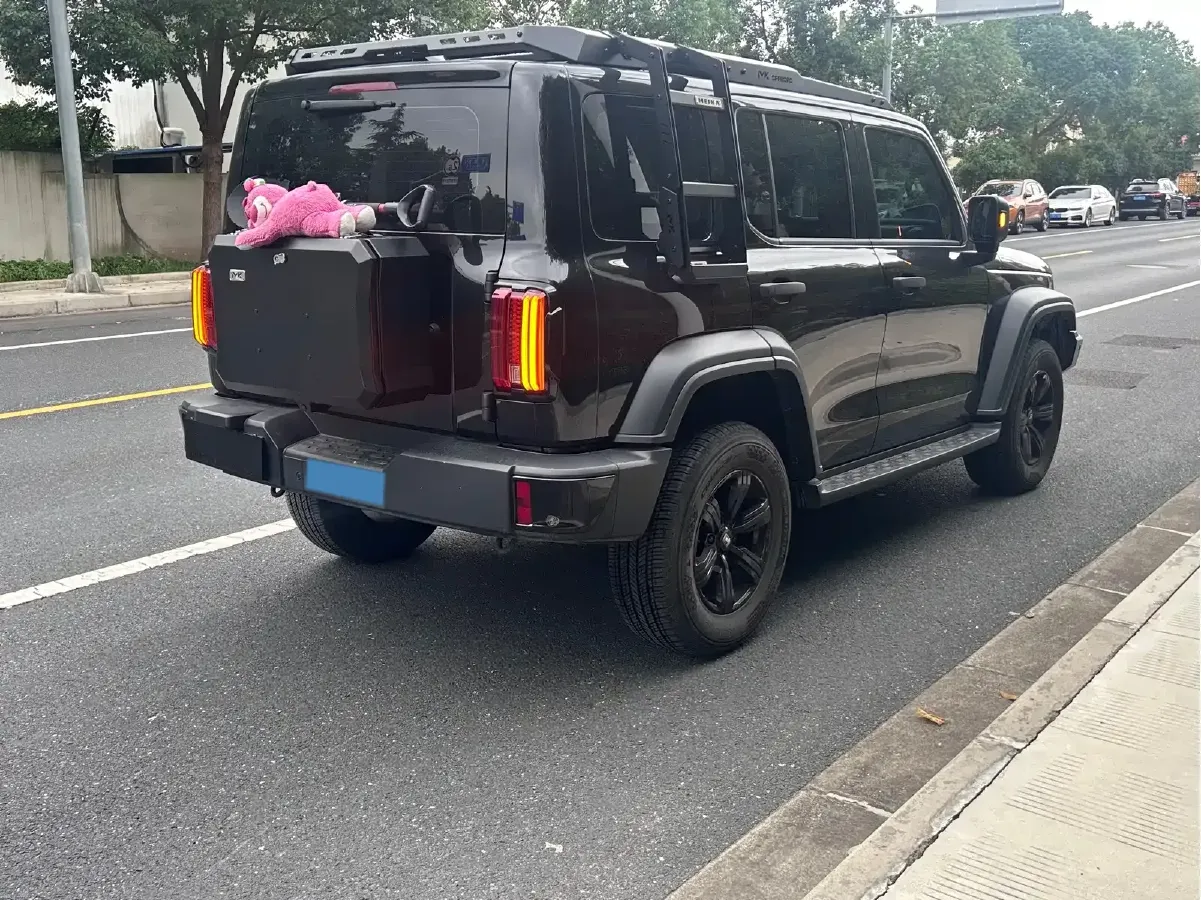 2024 Tank 300 2.0T 227HP L4 8AT,autocango,china used car exporter,china ev exporter,chinese used car exporter,chinese used ev exporter