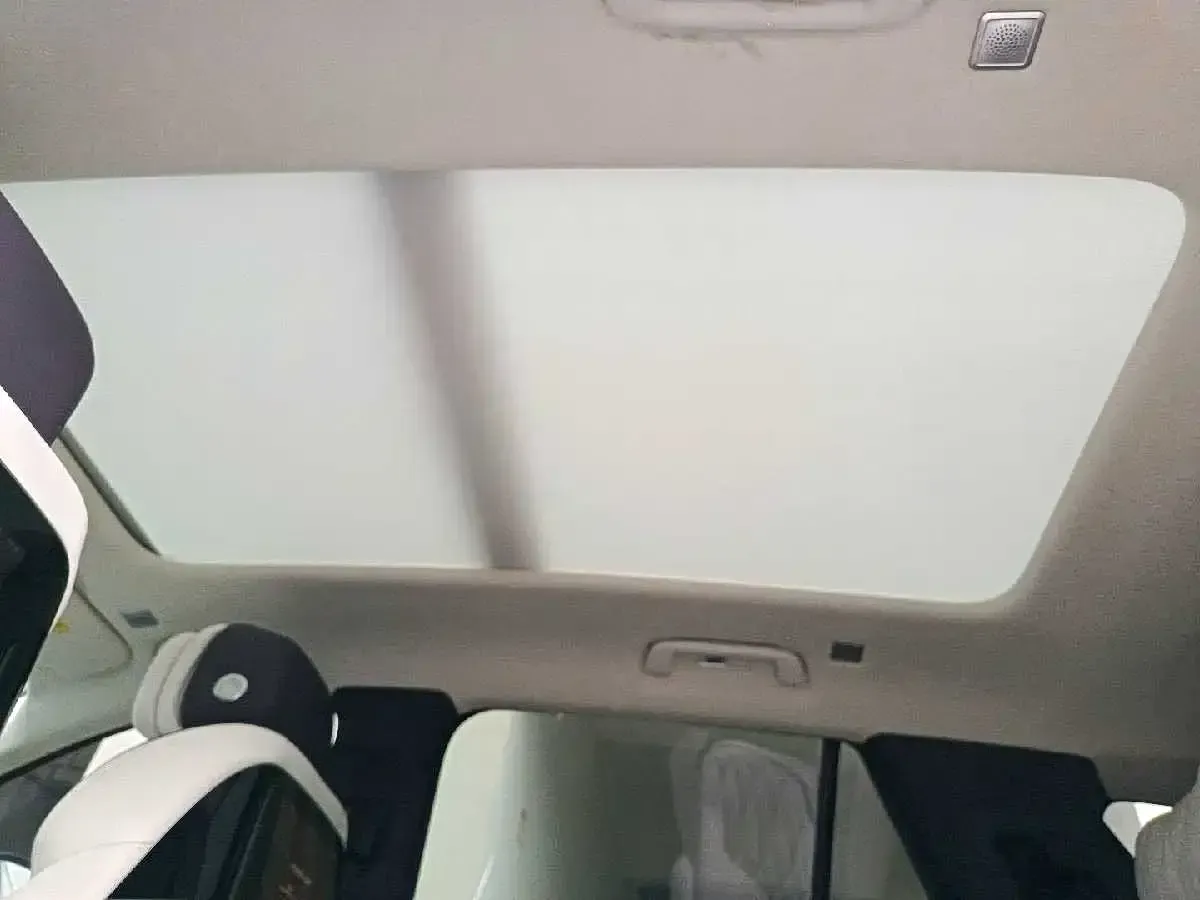 2022 HongQi E-HS9 BEV 120KWH,autocango,china used car exporter,china ev exporter,chinese used car exporter,chinese used ev exporter