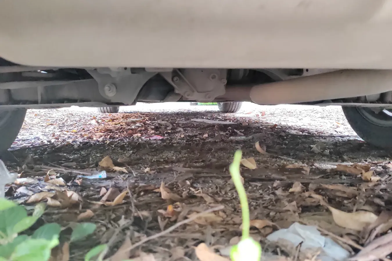 2013 BMW 3 Series 2.0T 184HP L4 8AT,autocango,china used car exporter,china ev exporter,chinese used car exporter,chinese used ev exporter