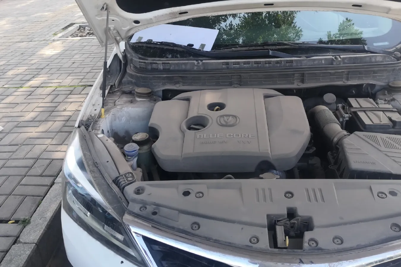 2016 ChangAn Alsvin V7 1.6L 124HP L4 5MT,autocango,china used car exporter,china ev exporter,chinese used car exporter,chinese used ev exporter