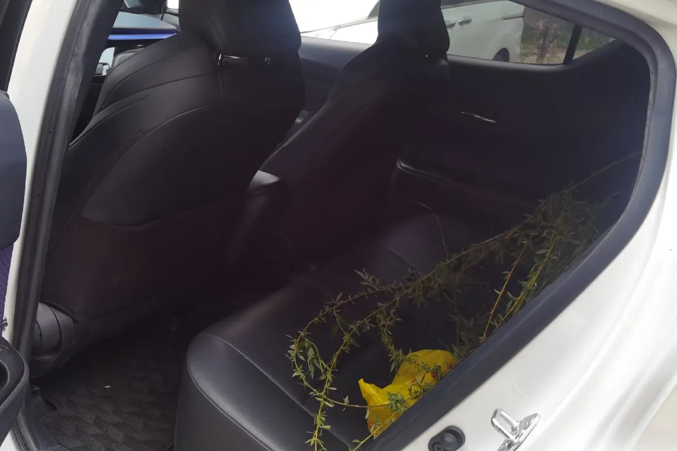 2020 Toyota Izoa E BEV 54.3KWH,autocango,china used car exporter,china ev exporter,chinese used car exporter,chinese used ev exporter