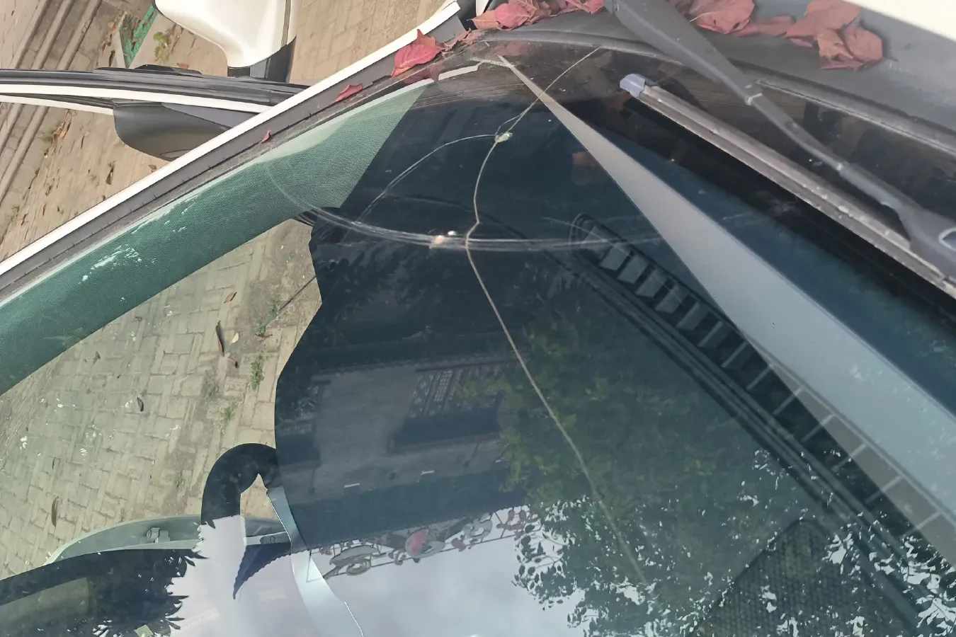 2017 Zotye T600 Coupe 1.5T 162HP L4 5MT,autocango,china used car exporter,china ev exporter,chinese used car exporter,chinese used ev exporter