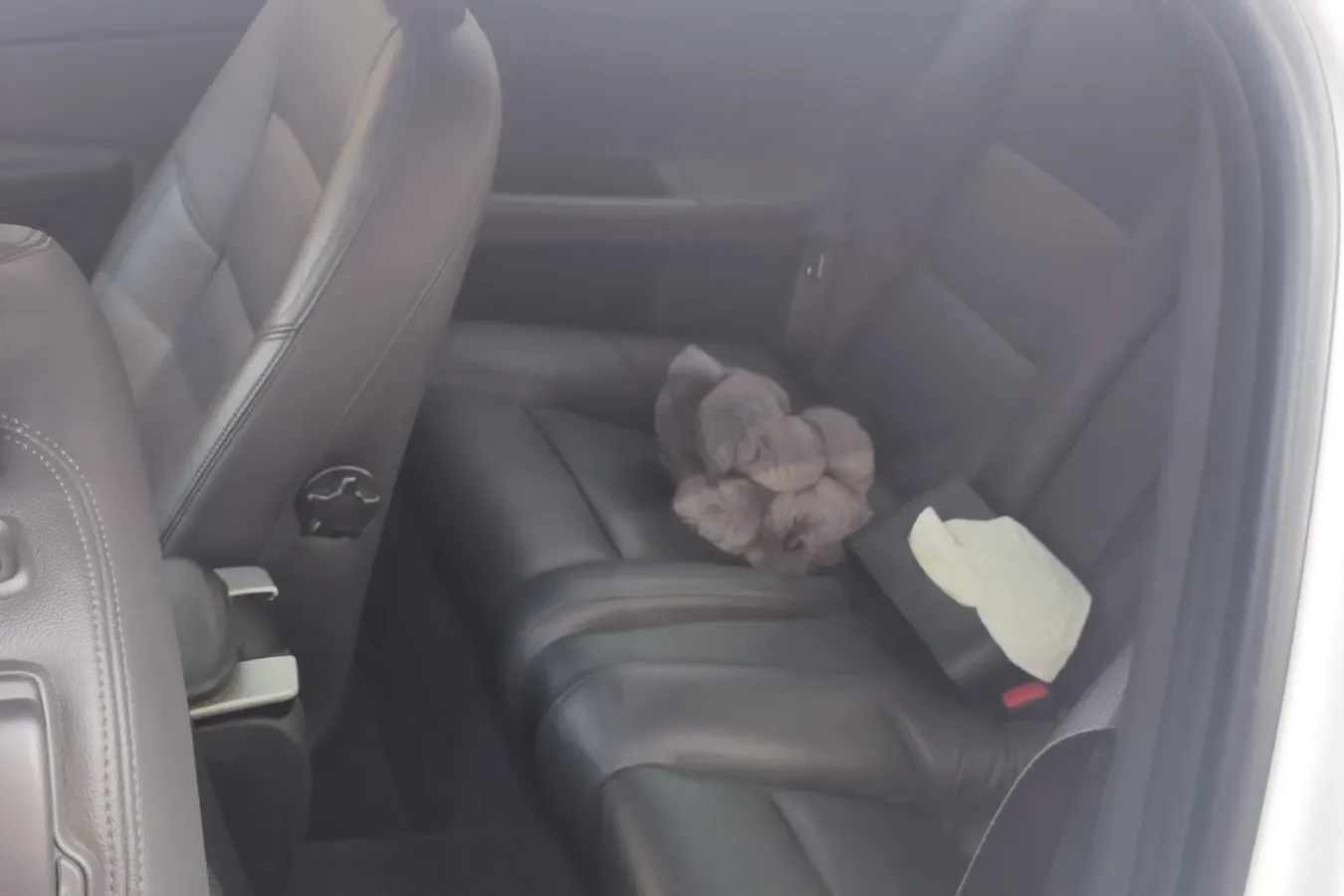 2013 Volvo C30 2.0L 145HP L4 6DCT,autocango,china used car exporter,china ev exporter,chinese used car exporter,chinese used ev exporter