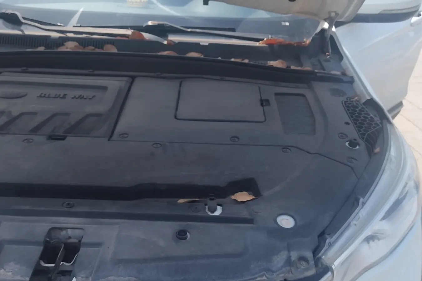 2018 FAW Senia R9 1.2T 143HP L4 5MT,autocango,china used car exporter,china ev exporter,chinese used car exporter,chinese used ev exporter